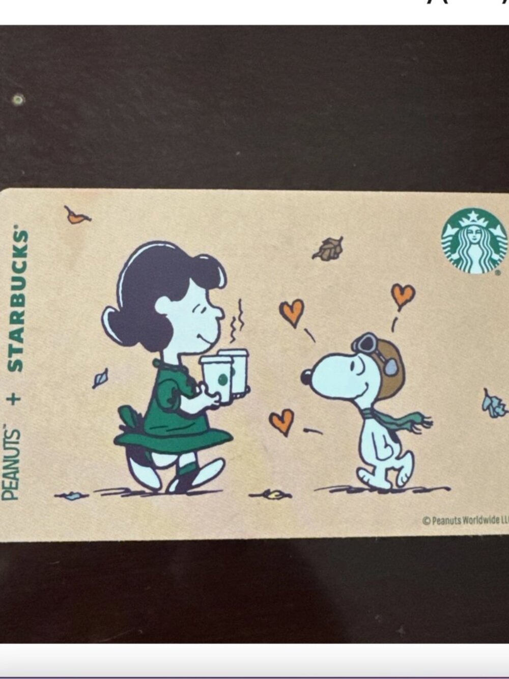 Starbucks X Peanuts Gift Card (empty, no Money)